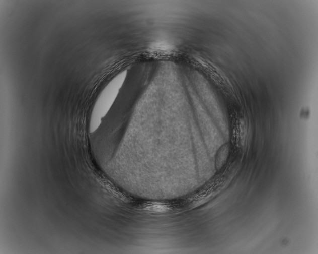 X0000097900610200804041439