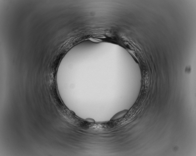 X0000097900611200804041439