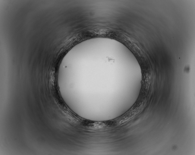 X0000097900612200804041439