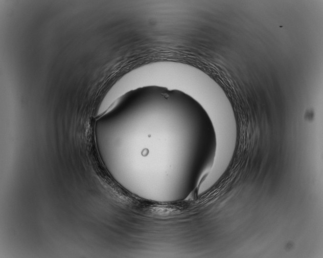 X0000097900614200804041439