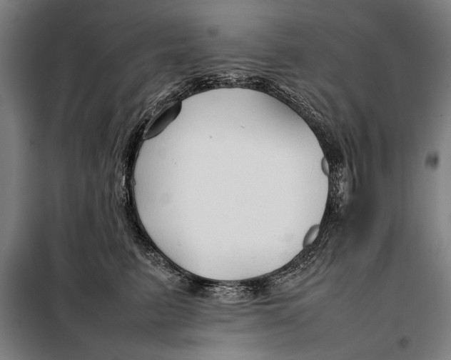 X0000097900615200804041439