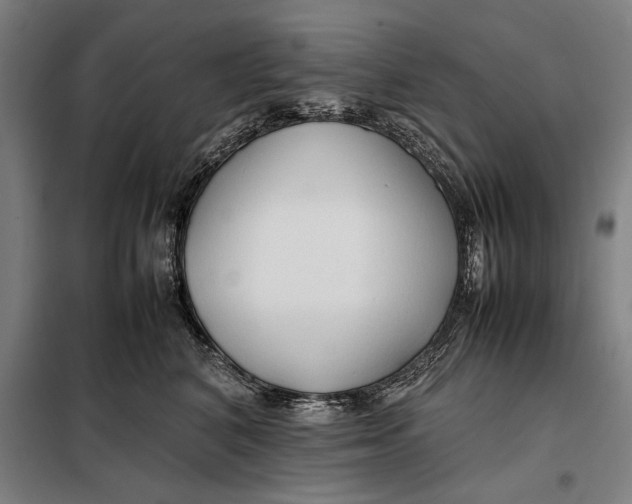 X0000097900616200804041438