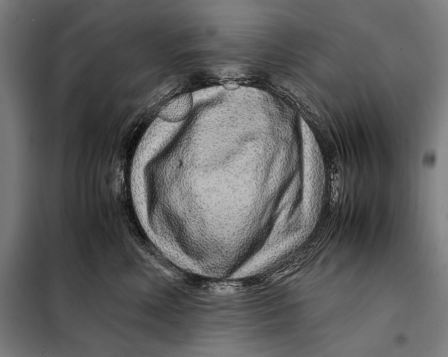 X0000097900618200804041438