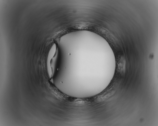 X0000097900620200804041438