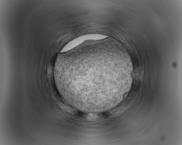 X0000097900623200804041438