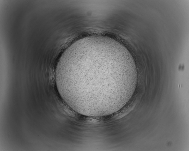 X0000097900624200804041438