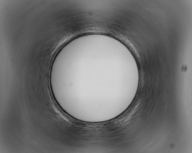 X0000097900625200804041438