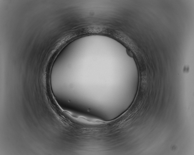 X0000097900626200804041438