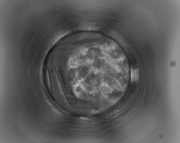 X0000097900627200804041438