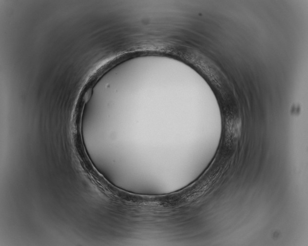 X0000097900628200804041438