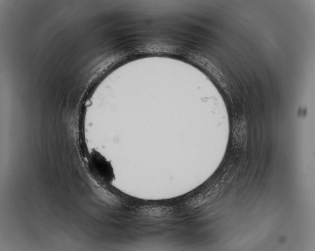 X0000097900629200804041438