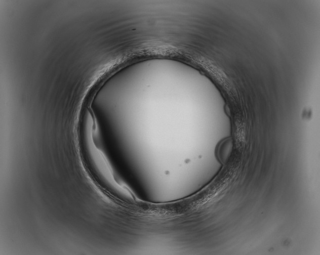 X0000097900630200804041438