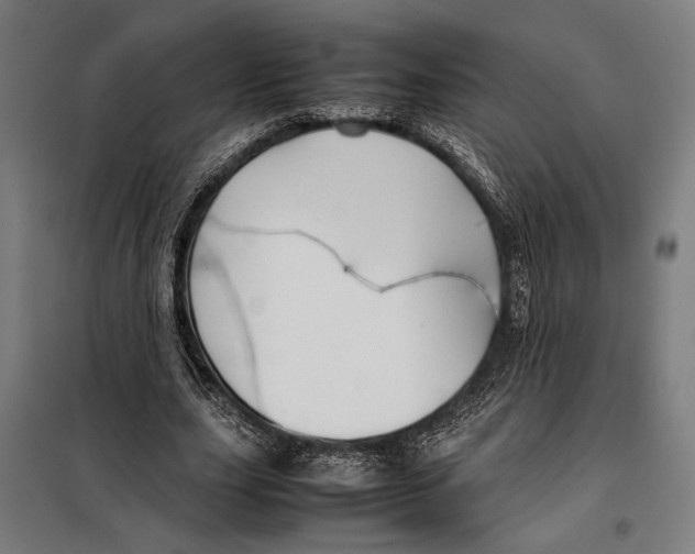 X0000097900631200804041438