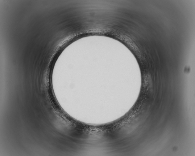 X0000097900632200804041438