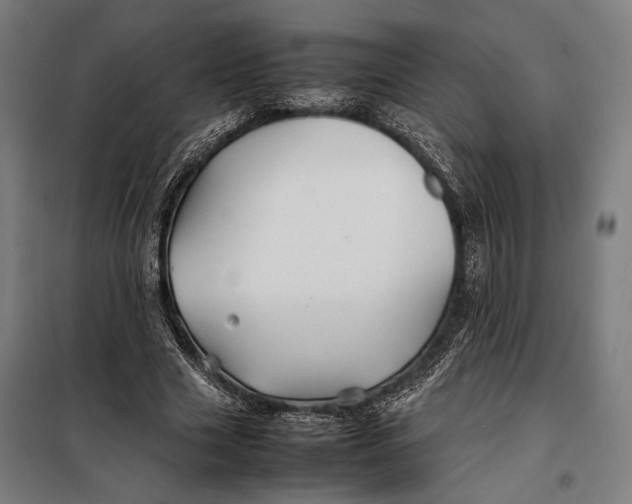 X0000097900633200804041438