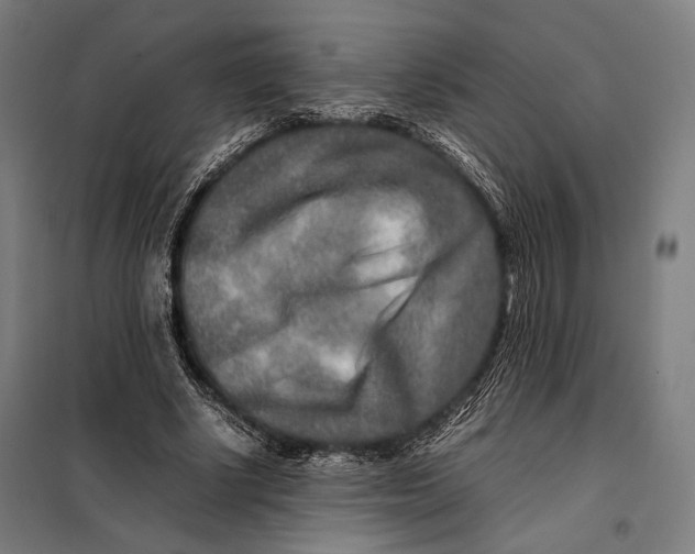 X0000097900634200804041438