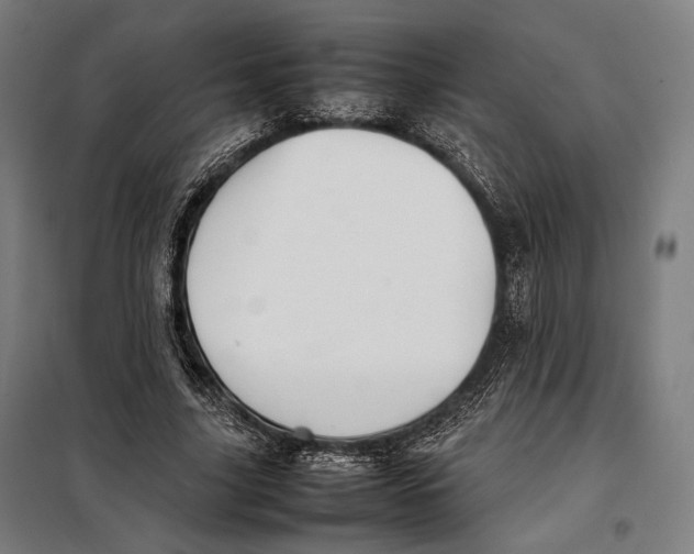 X0000097900635200804041438