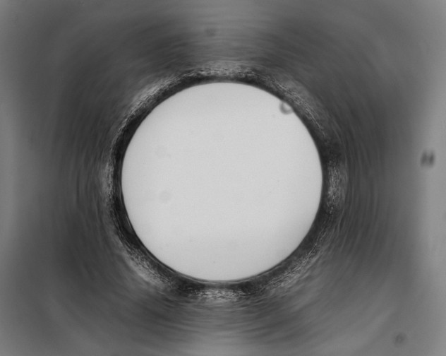 X0000097900636200804041438