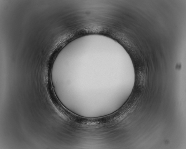 X0000097900638200804041438