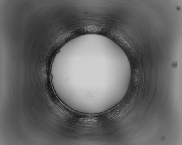 X0000097900639200804041438