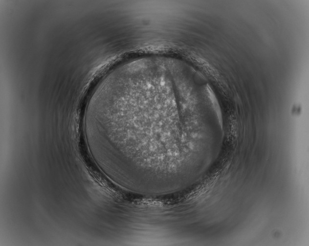 X0000097900640200804041438