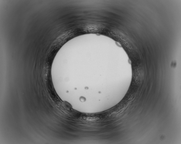 X0000097900645200804041438