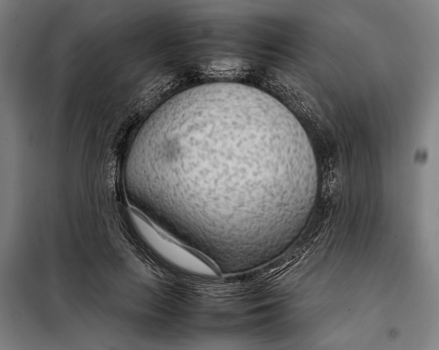 X0000097900647200804041438