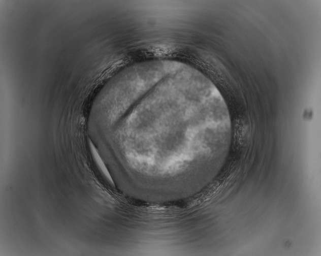 X0000097900650200804041438