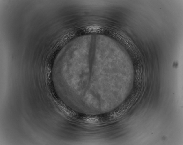 X0000097900653200804041438