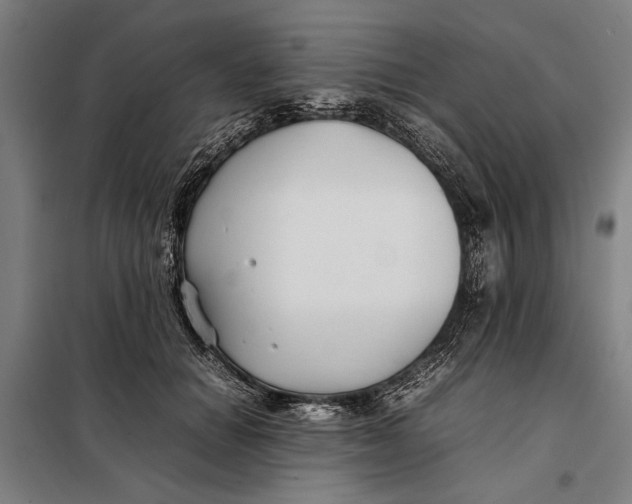 X0000097900654200804041438