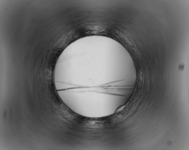 X0000097900657200804041438