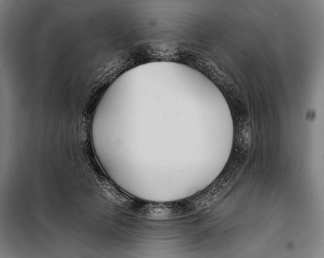 X0000097900658200804041438