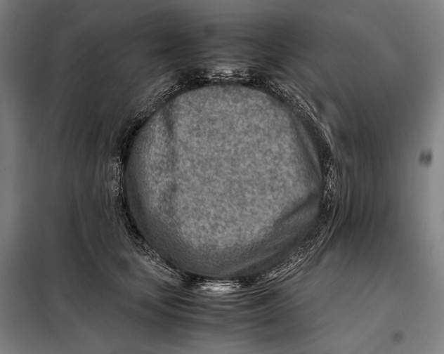 X0000097900659200804041438