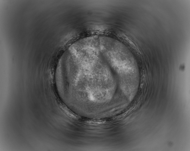 X0000097900661200804041438