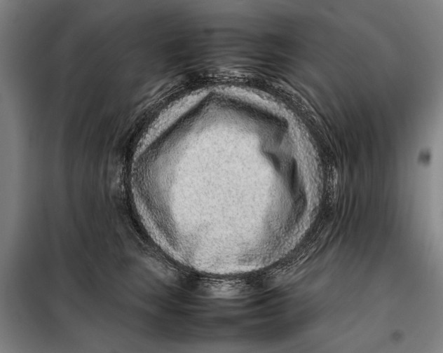 X0000097900663200804041438