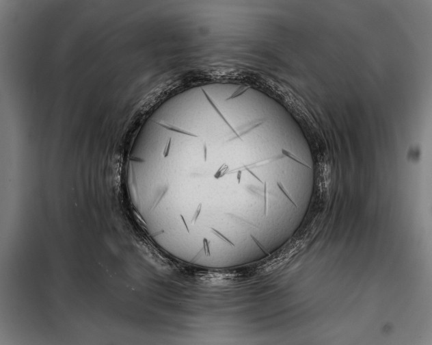 X0000097900664200804041438