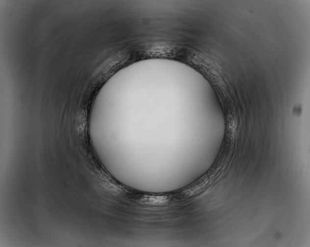 X0000097900665200804041438