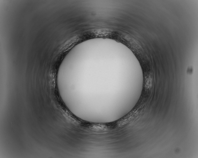 X0000097900666200804041438