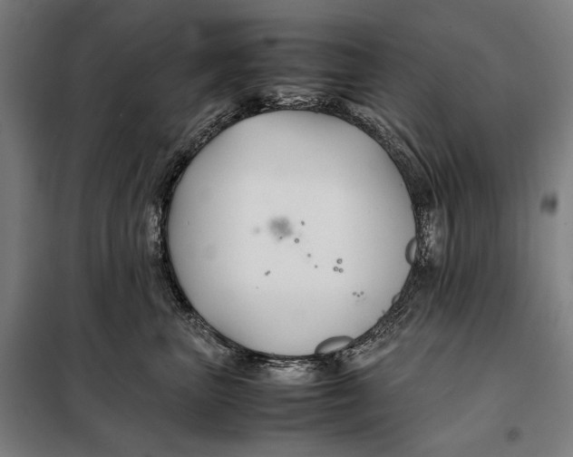 X0000097900667200804041438