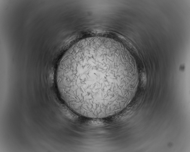 X0000097900668200804041438