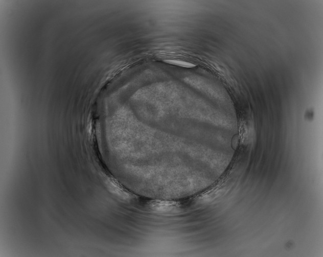 X0000097900670200804041438