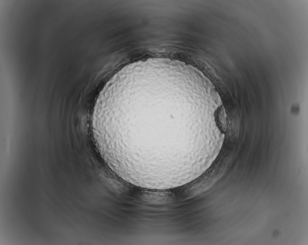 X0000097900671200804041438