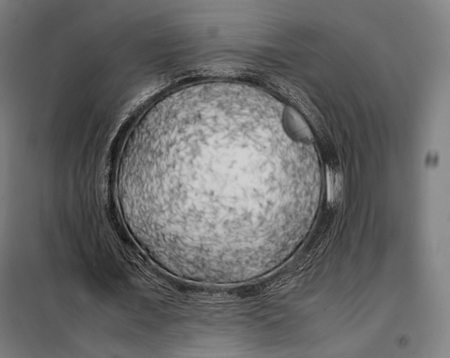 X0000097900675200804041438