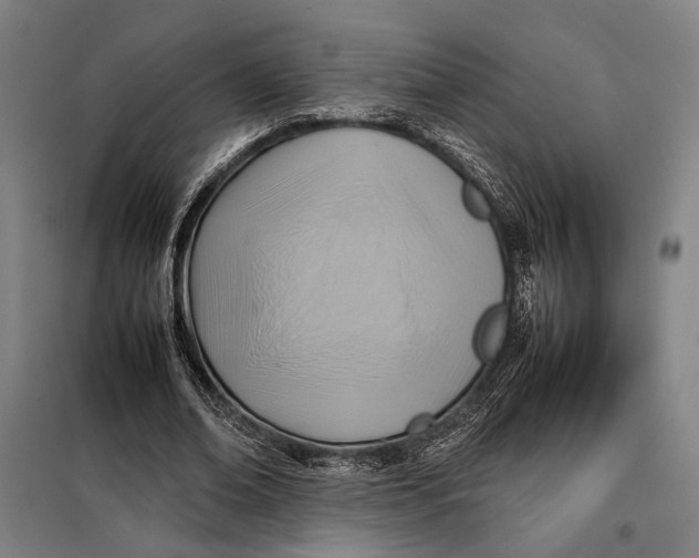 X0000097900678200804041438