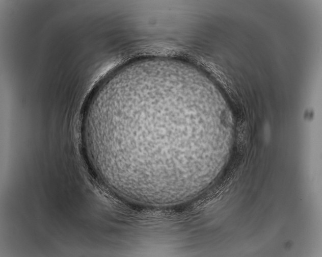 X0000097900679200804041438