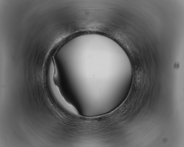 X0000097900680200804041438