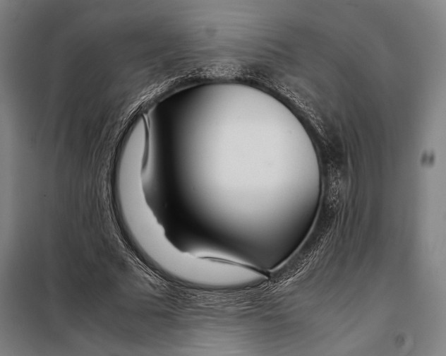 X0000097900681200804041438