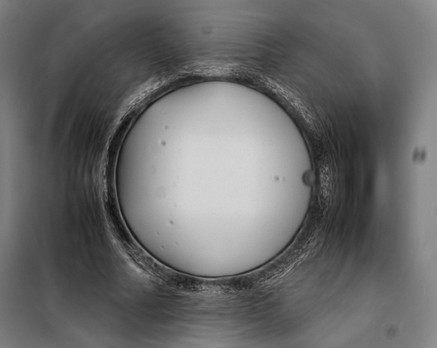 X0000097900682200804041438