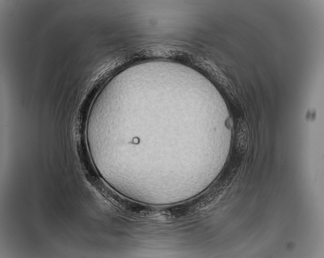 X0000097900683200804041438