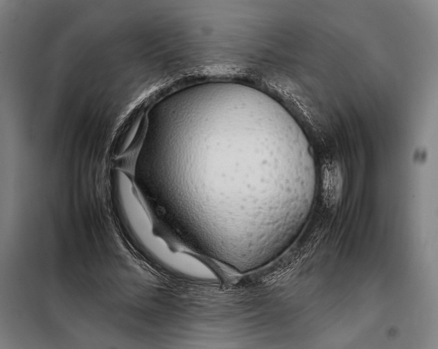 X0000097900684200804041438